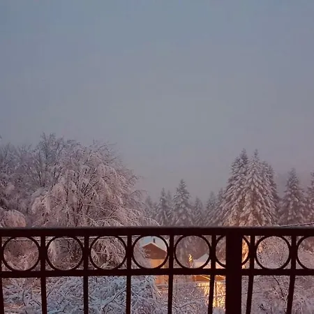 Iepurasul Vilă