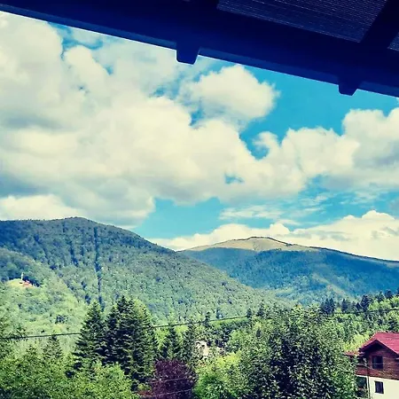 Iepurasul Vilă *