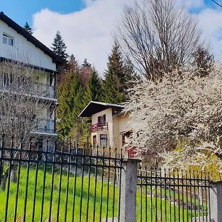 Iepurasul Villa