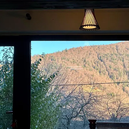 Iepurasul Sinaia