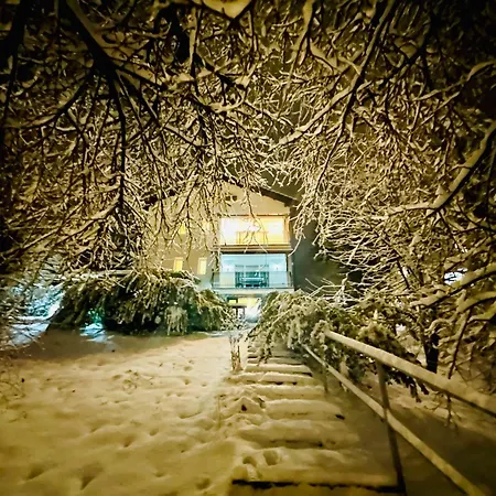 Iepurasul Vilă