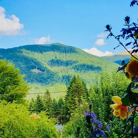 Iepurasul * Sinaia