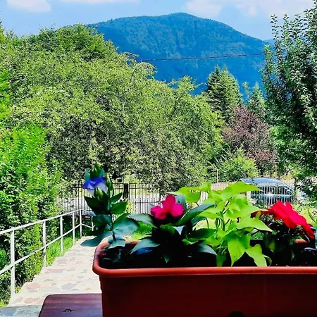 Iepurasul * Sinaia