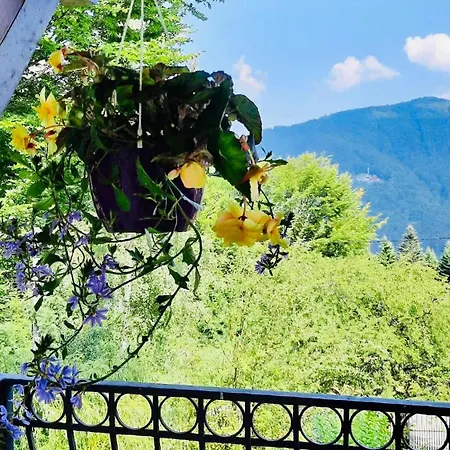 Iepurasul * Sinaia