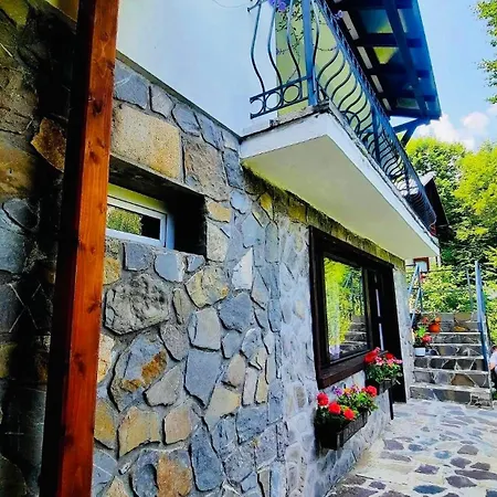 Vilă Iepurasul