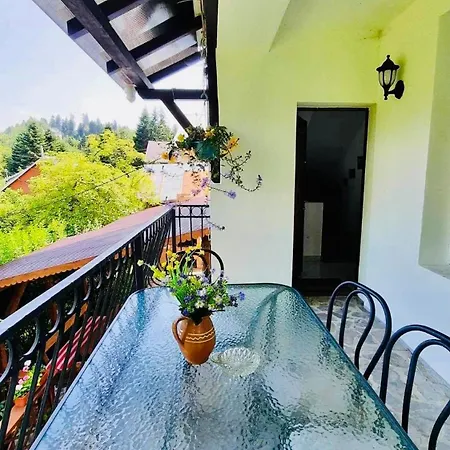 Iepurasul Villa *