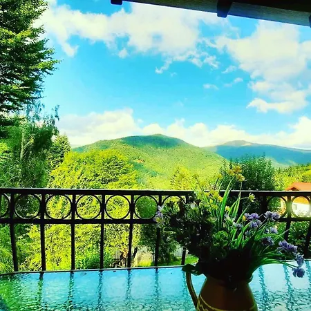 Iepurasul Vilă *