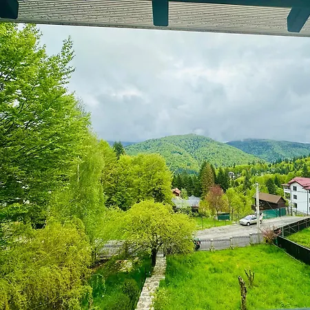 Iepurasul Vilă Sinaia